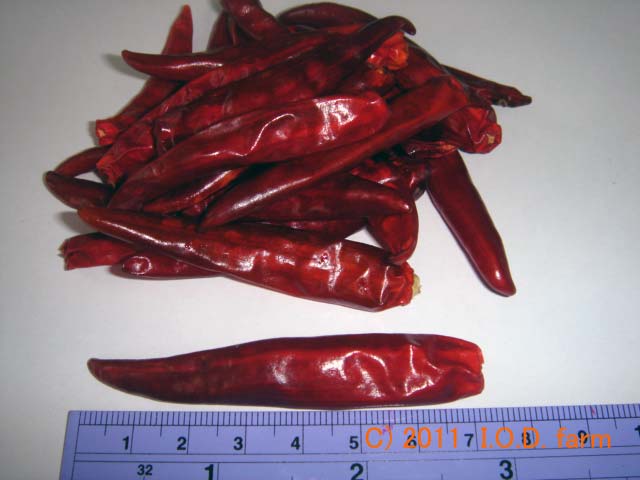 p20110322redpepper-03.jpg