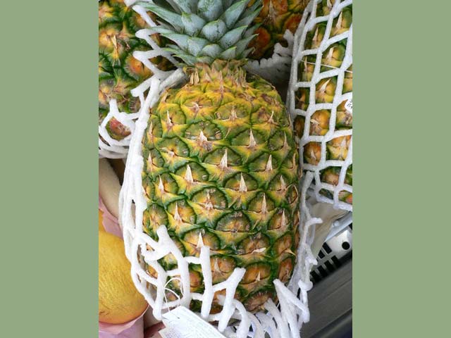 p20110506pineapple-05.jpg