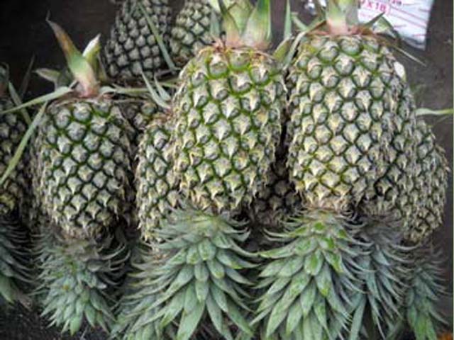 p20110506pineapple-07.jpg