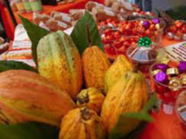 p20110605cacao-06.jpg