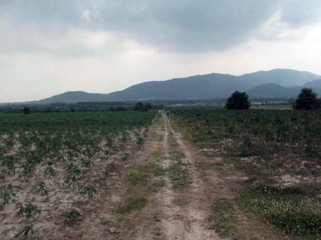 http://www.iodfarm.com/pic-iod/p20110501place-02.jpg