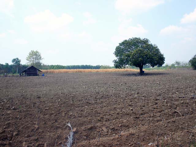 http://www.iodfarm.com/pic-iod/p20110501place-05.jpg