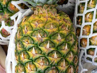 p20_pineapple.jpg